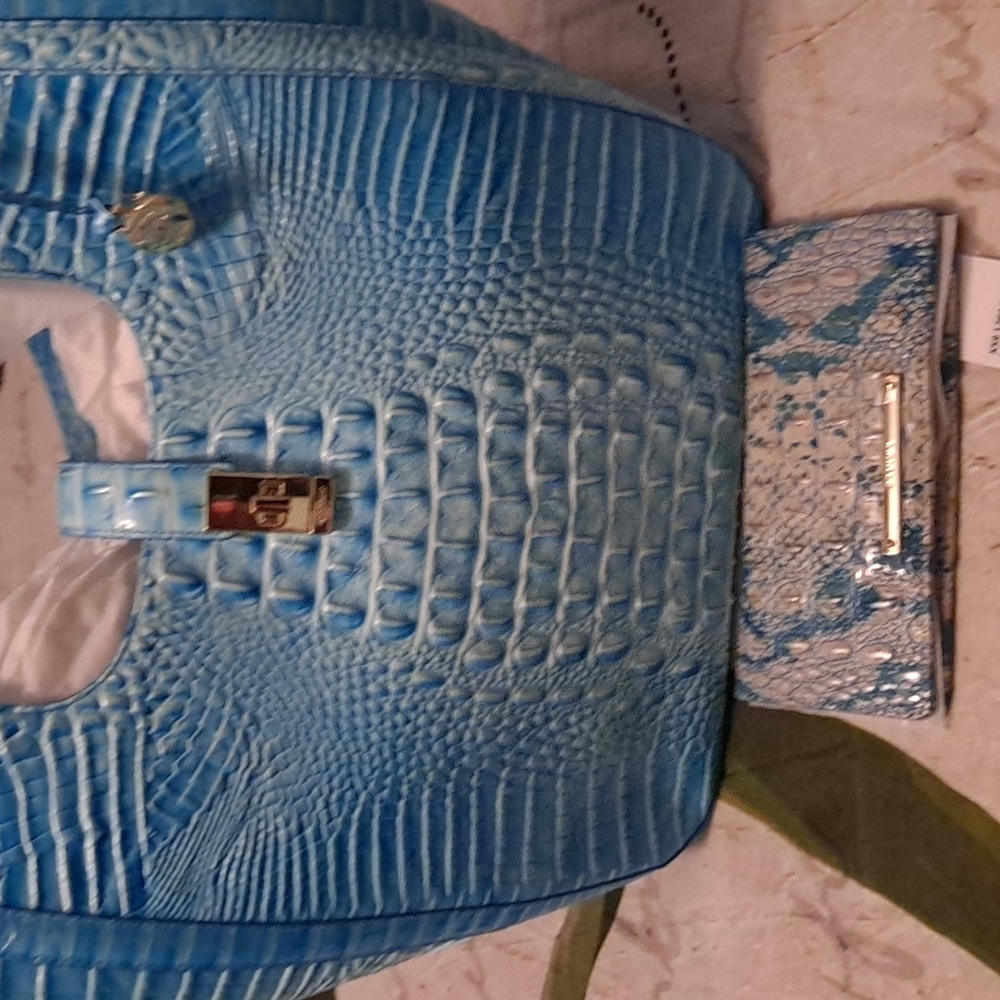 Brahmin purse/wallet set